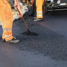 Best Driveway Snow Removal Preparation  in Lake Clarke Shores, FL